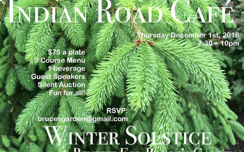 Winter Solstice Benefit for Bruce’s Garden • Thursday December 1st @7:30 ~ 10pm • Indian Road Cafe