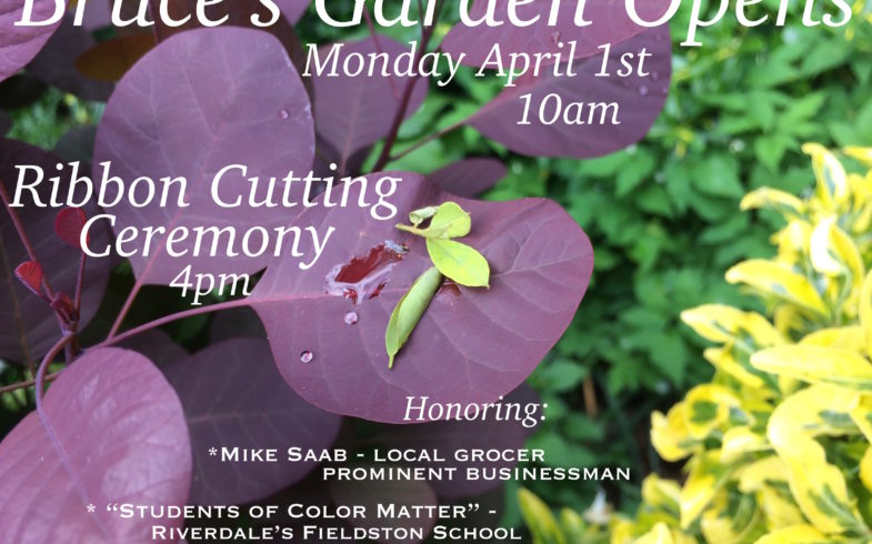 Garden Reopens! Monday April 1st @10am • Ribbon Cutting Ceremony @4pm •