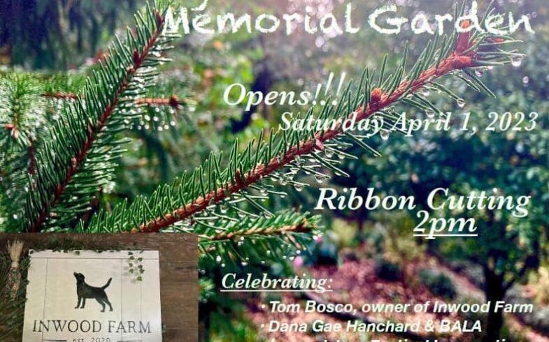 Opening Day/ Ribbon Cutting! • Saturday, April 1, 2023