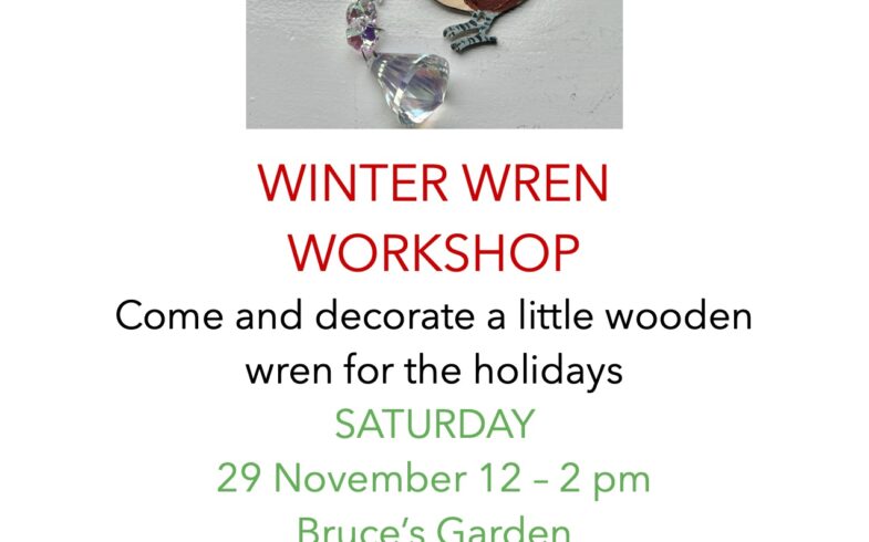 Winter Wren Workshop • Saturday, November 29 @12noon